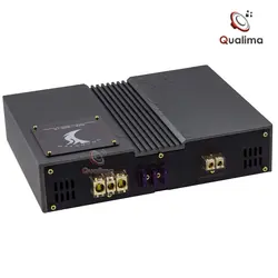 آمپلی فایر درگ استر DAE-1000.1DB