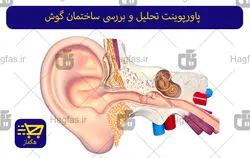 پاورپوینت تحلیل و بررسی ساختمان گوش