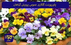 پاورپوینت گلکاری عمومی پرورش گیاهان