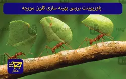 پاورپوینت بررسی بهینه سازی کلونی مورچه