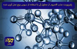 پاورپوینت جذب کادمیوم از محلول آبی با استفاده از سبوس برنج عمل آوری شده