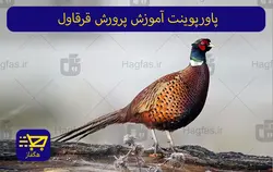 پاورپوینت آموزش پرورش قرقاول