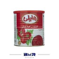 رب گوجه فرنگی 800 گرمی هایلی