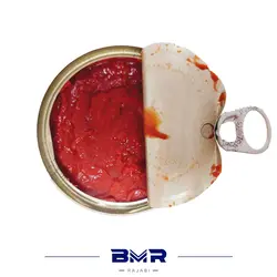 رب گوجه ۷۰۰گرمی شاهین