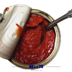 رب گوجه ۷۰۰گرمی شاهین