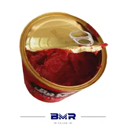 رب گوجه فرنگی 800 گرمی آذوقه