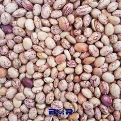 لوبیا چیتی فله