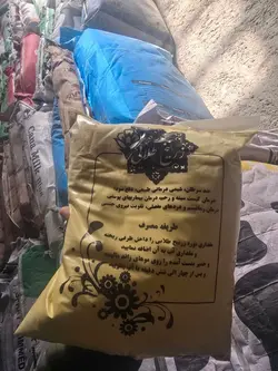 نوره زرنیخ طلایی 1به6 شاخه طلایی یک کیلویی