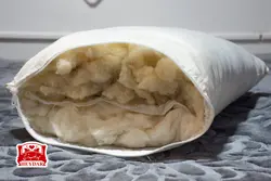 بالش ارگانیک