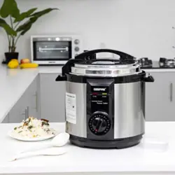 زودپز جیپاس مدل 307