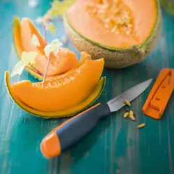 چاقو میوه تاپه ور Tupperware طول 19 سانتی