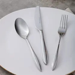 سرویس قاشق و چنگال 84 پارچه کاراجا Costa Elegance