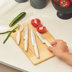 سرویس چاقو 4 پارچه دکتر اینوکس بژ