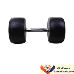 دمبل گرد مدل FITNESS وزن 22.5 کیلوگرم بسته 2 عددی