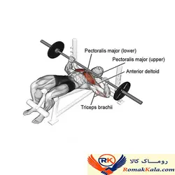 میز پرس زیر سینه مدل PM7