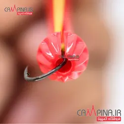 جدا کننده قلاب از دهان ماهی