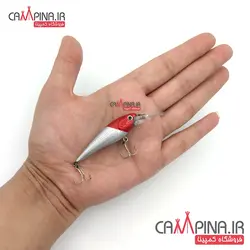 لور ماهیگیری کد XR-05 برند RapaLa سايز 5.5 سانتيمتر وزن 4 گرم