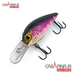 لور ماهیگیری کد CW05PD وزن 10.9گرم طول 5 سانت