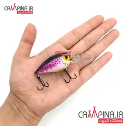 لور ماهیگیری کد CW05PD وزن 10.9گرم طول 5 سانت