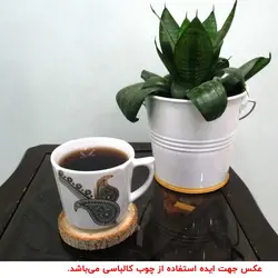 چوب کالباسی درخت توت قطر 7 سانتی‌متر