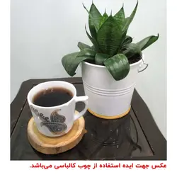 چوب کالباسی درخت توت قطر 10 سانتی‌متر