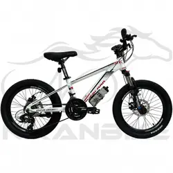 دوچرخه کوهستان اورلورد سایز 20 مدل MERCURY SE1.1D