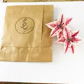 گیره مو زنانه طرح گل الستریا