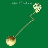 قاشق سرو نوشیدنی طرح برگ مدل 15712