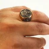 انگشتر مردانه گالری عزیزی مدل تاج شیر خورشید