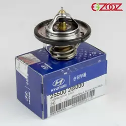 ترموستات I20 - 255002B000