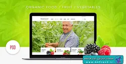 دانلود قالب فتوشاپ سایت Fresh Food
