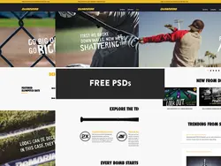 دانلود قالب فتوشاپ سایت ورزشی Demarini Sports