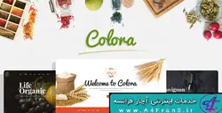 دانلود قالب فروشگاهی مجنتو Colora