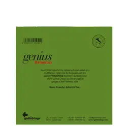 سیم گیتار فلامنکو گالی مدل GR105
