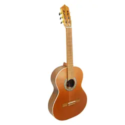 گیتار پارسی مدل M6