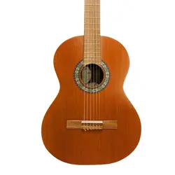 گیتار پارسی مدل M6
