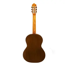 گیتار پارسی مدل M6