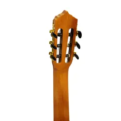 گیتار پارسی مدل M6