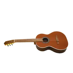 گیتار پارسی مدل M6