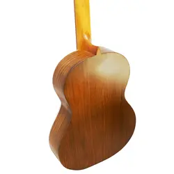 گیتار پارسی مدل M6