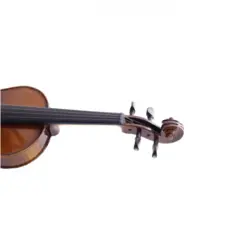 ویولن مولر مدل MV600 سایز 4/4