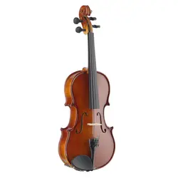 ویولن آکوستیک استگ مدل VN-4/4 EF