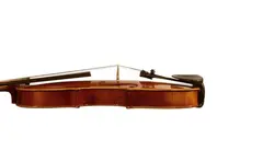 ویولن تی اف مدل Coreli