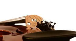 ویولن تی اف مدل Coreli