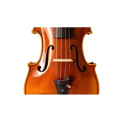 ویولن فونیکس مدل VT 303 سایز 4/4
