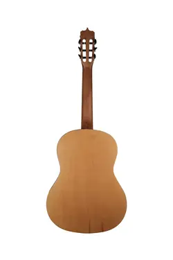 گیتار پارسی مدل P40F