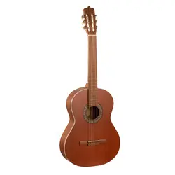گیتار پارسی مدل P40