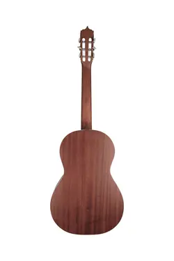 گیتار پارسی مدل P40