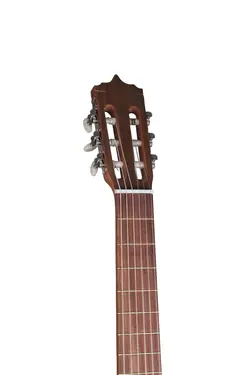 گیتار پارسی مدل P40