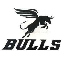 استیکر برچسب شیشه خودرو طرح BULLS